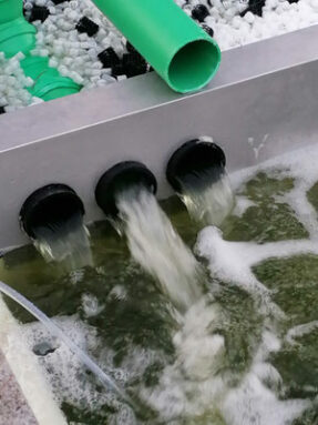 Smartpondfilteranlage in Betrieb. Zeigt Wasserauslauf des Filters.