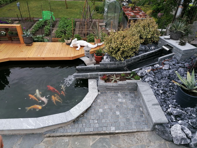 koi-teich-steingarten-stil-9 Koi Teich im Steingarten-Stil. Man sieht zudem Koi in allen Farben. Der Filter ist gut versteckt und der Wassereinlauf ist ein Highlight